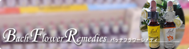 �o�b�`�t�����[�����f�B