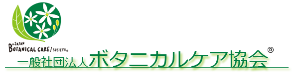 ���{�{�^�j�J���P�A����