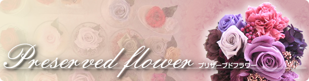 �v���U�[�u�h�t�����[